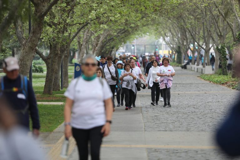 Adultos mayores, la mayoría con poleras blancas, caminando en un parque rodeado de arboles